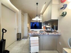 The Florence Residences (D19), Apartment #498621521